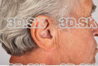 Ear texture of Augustyn 0002